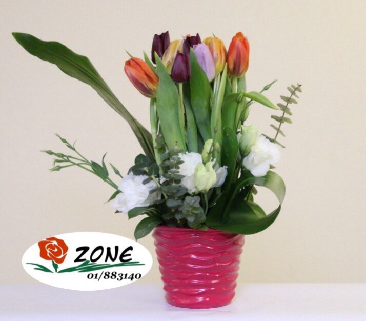 Order color assorted tulips bouquet online Send to Lebanon Delivery