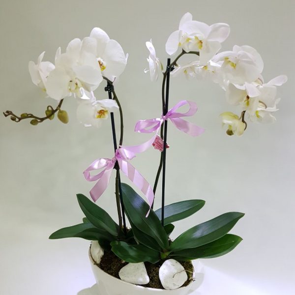 Flower Zone Boutique Flowers delivery in Lebanon Send flowers to Lebanon