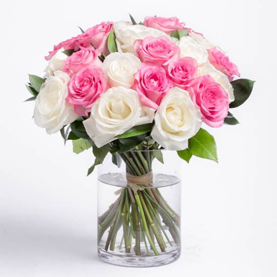 Order Mixed Colored Roses Online Send To Lebanon Delivery Love You White Pink