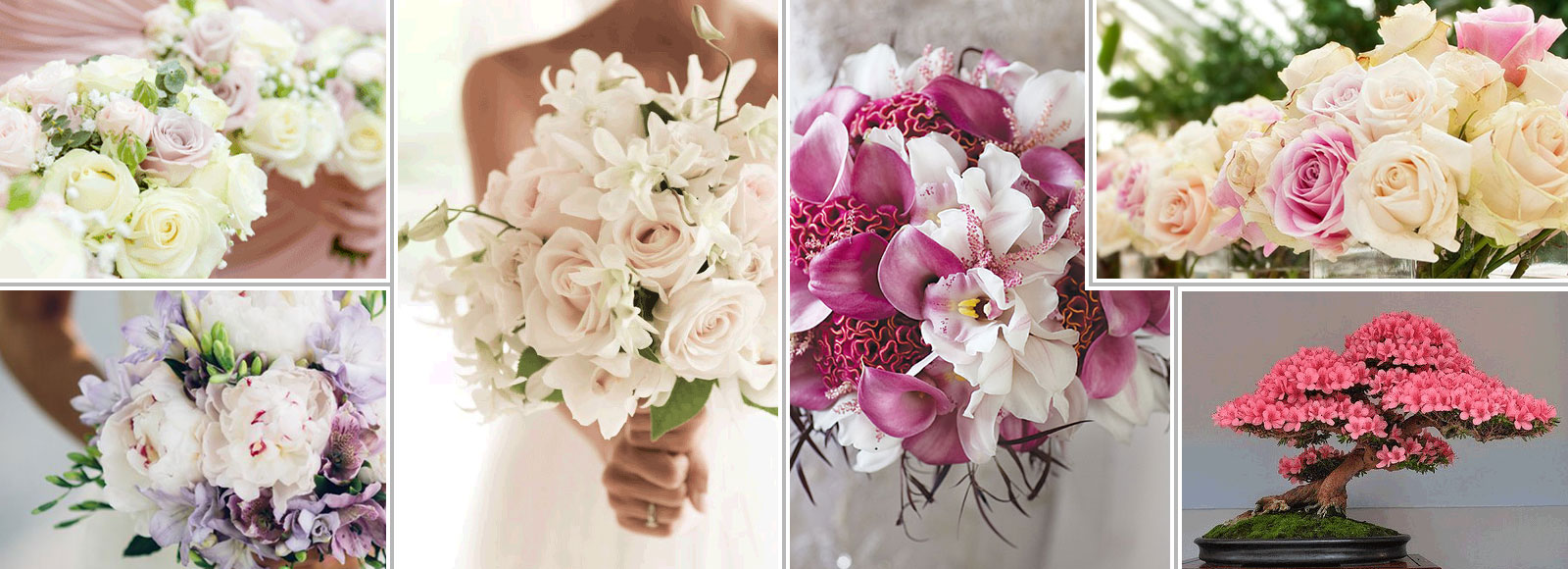 Flower Zone Boutique Flowers delivery in Lebanon Send flowers to Lebanon