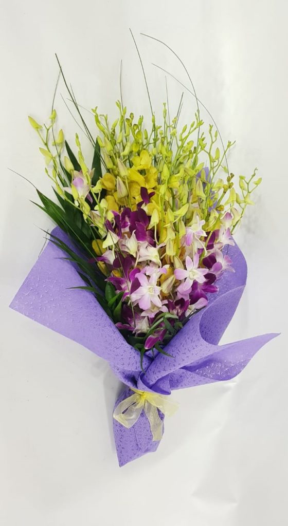Order multi color orchid online Send to Lebanon Delivery