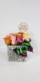 12 Color Roses