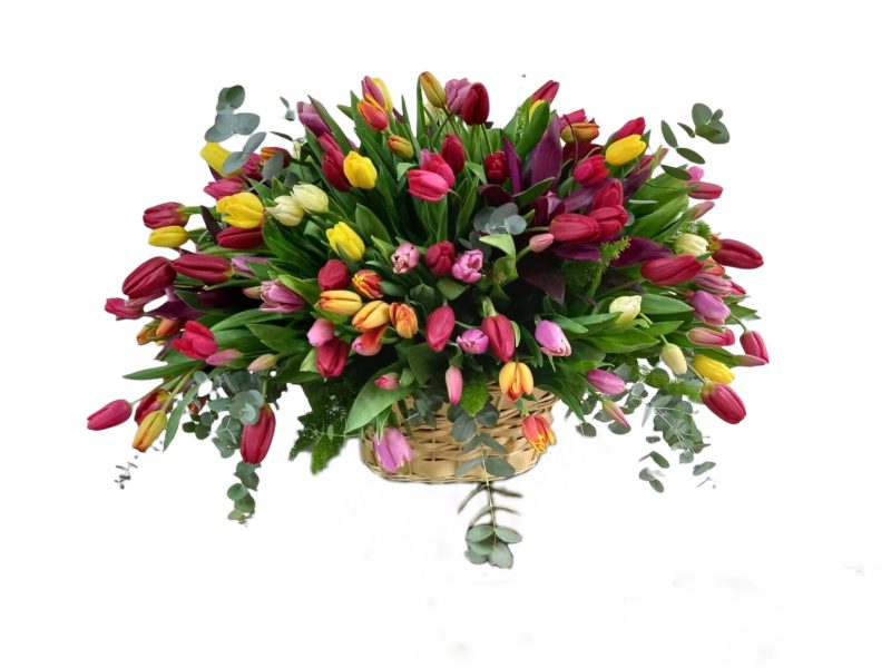 Multi Color Tulips Basket