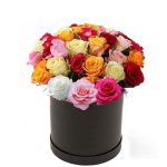 Medium Color Rose Box