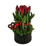 Red tulip box