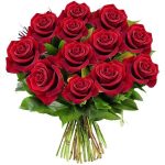 12 Red Ecuadorian Roses