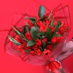 50 Radiant Red Tulips & Green