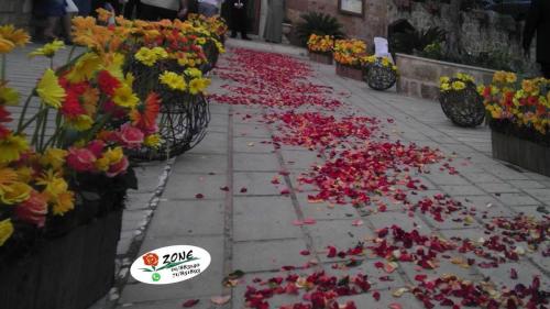 events-flowers-roses-delivery-flower-zone-fanar-lebanon 17